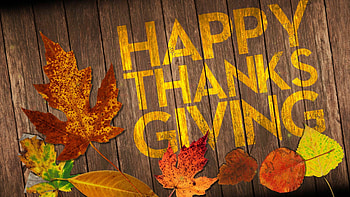 Thanksgiving , Festive celebration, Autumn vibes, Gratitude HD wallpaper