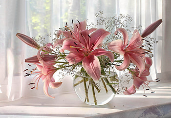 Pink Flower, Vase, Lily, , Flower HD wallpaper