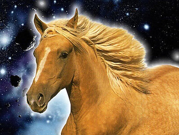 Golden Horse, golden horses, nature, arabians, palominos HD wallpaper