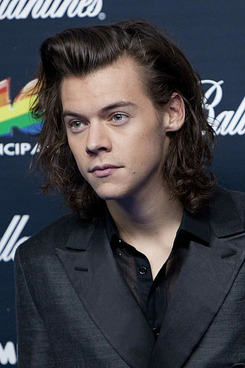 Palacio de los Deportes 2014, Harry Styles HD phone wallpaper