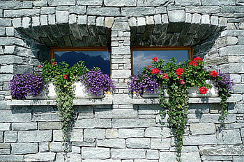 flowering windows, flowering, architecture, windows, house HD wallpaper