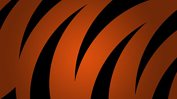 Cincinnati Bengals for HD wallpaper
