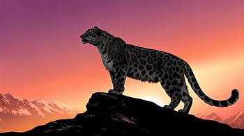 Majestic Snow Leopard in Ultra, snow leopard, leopard, silhouette, mountain HD wallpaper