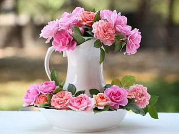 Plants, Flowers, Roses, Bouquets HD wallpaper