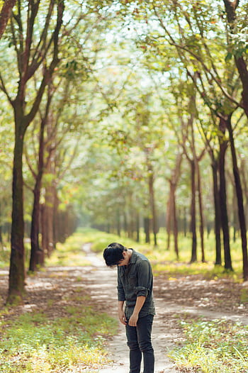 A man stands alone on a sunlit path in a tranquil forest, surrounded by tall trees. HD phone wallpaper