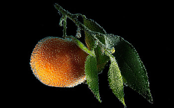Peach, fruits, abstract, 3d HD wallpaper