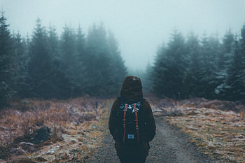 Miscellanea, Miscellaneous, Forest, Fog, Stroll, Backpack, Rucksack, Tourist HD wallpaper