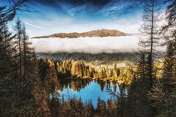 Pine Trees Beside Water Body Mountains Clouds , pine, trees, mountains, clouds, nature HD wallpaper