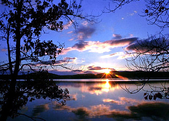 Sunrise, blue sky, clouds, branches, trees, lake, reflections, shoreline HD wallpaper