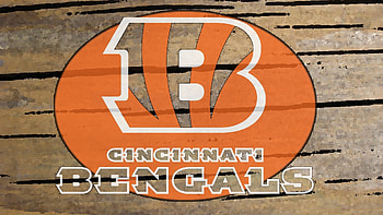 File Name : cincinnati-bengals-logo-painted__1134-.jpg . HD wallpaper