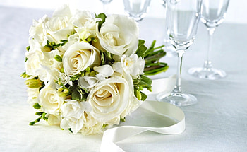 Flowers, Roses, Bouquet, Tape, Glasses, Snow White, Goblets, sia, Snow-White HD wallpaper
