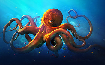 Slouching Octopus, octopus, graphics, animals HD wallpaper