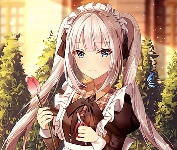 Beautiful, Rider, fate series HD wallpaper