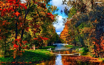Beautiful Canal in the Autumn Park, canal, trees, autumn, nature, forest, lake, park HD wallpaper