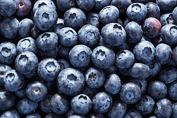 Storing blueberries, Tips and tricks, Keeping them fresh, Preserving their quality HD wallpaper