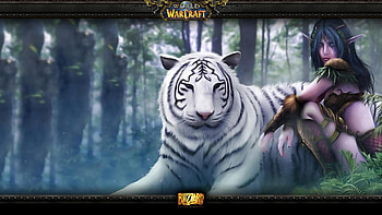 ... ; warcraft 3 night elf walldevil ... HD wallpaper