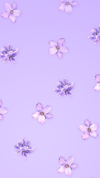 Light Purple, Purple Flower HD phone wallpaper