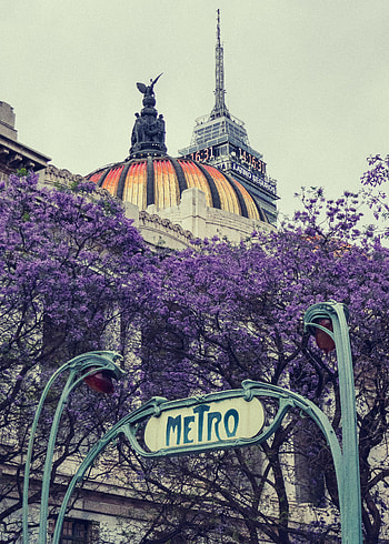 Architecture, Words, Bloom, Flowering, Word, Metro, Subway HD phone wallpaper