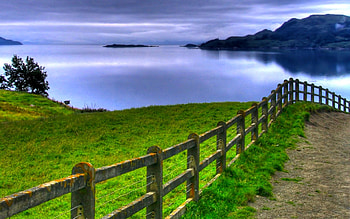 By the sea, island, Fence, grass, cloudy sky, tree HD wallpaper