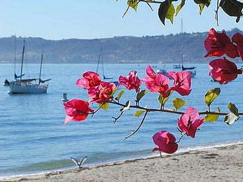 BEAUTIFUL BEACH, boat, waves, beach, flower HD wallpaper