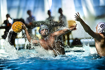Michele Luongo, Water Polo HD wallpaper