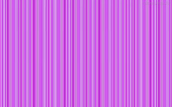 Purple lines, , purple, abstract, lines HD wallpaper