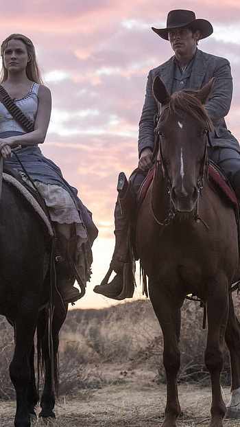 James Marsden movies, Westworld Season 2 HD phone wallpaper
