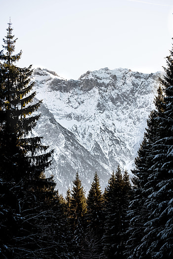 Nature, Sky, Mountains, Snow, Rocks, Spruce, Fir, Snow Covered, Snowbound HD phone wallpaper