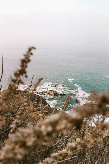 Nature, Sea, Waves, Rocks, Coast, Branches, Cliff HD phone wallpaper
