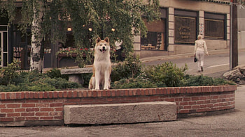 Hachi: A Dog's Tale, Unwavering loyalty, Forever waiting, Heartwrenching tale HD wallpaper
