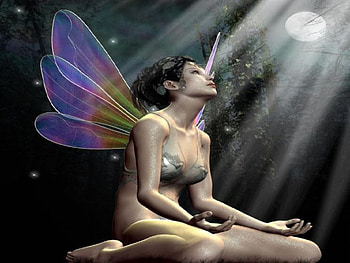 Twilight fairy, fairy, twilight HD wallpaper