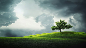 High-resolution , Stunning visual clarity, Immersive experience, Captivating details HD wallpaper
