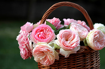 Flowers, Roses, Disbanded, Loose, Buds, Basket HD wallpaper