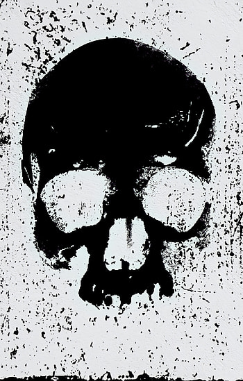 Skull wall, art, bruches, drawing, artistic, black and white HD phone wallpaper
