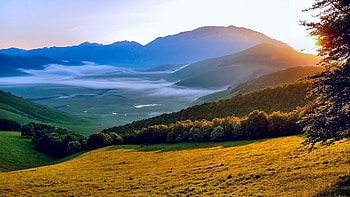 Summer landscape , Captivating nature, Serene summer scenes, Tranquil beauty HD wallpaper