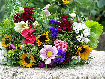 Plants, Flowers, Bouquets HD wallpaper