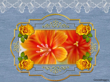 PRETTY YELLOW FLOWERS, PRETTY, FLOWERS, YELLOW, FRAMED HD wallpaper