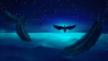 Star Angel , angel, wings, deviantart HD wallpaper