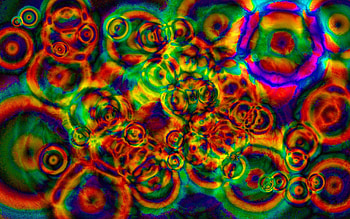 Shroom HD wallpaper