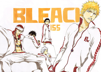 bleach anime, bleach, ichigo, anime, renji HD wallpaper