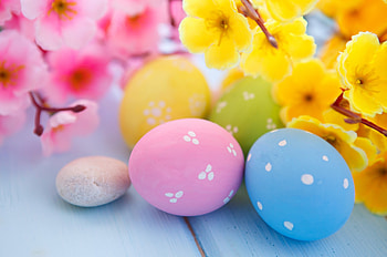 Eggs and blossoms, Easter HD wallpaper