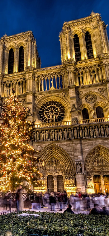 Notre-Dame Cathedral, Gothic masterpiece, Iconic landmark, Historical treasure HD phone wallpaper
