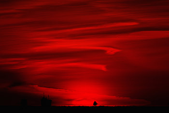 Ship, Night, Horizon, Dark HD wallpaper