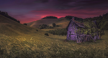 House, vines, hills, tree HD wallpaper