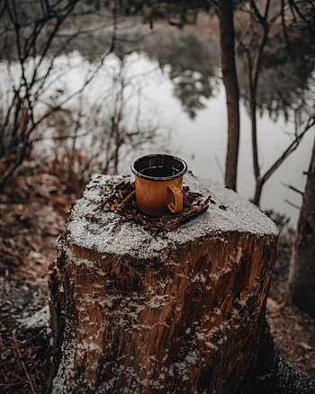 Nature, Snow, Miscellanea, Miscellaneous, Cup, Stump, Mug HD phone wallpaper