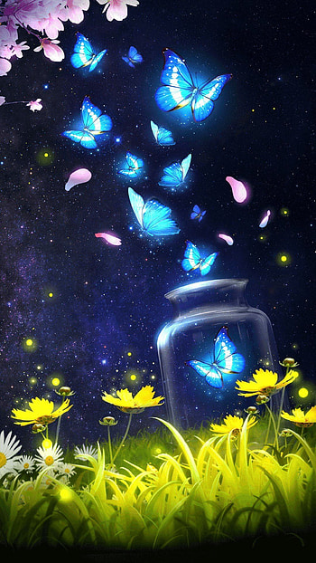 Butterfly, Turquoise Butterfly HD phone wallpaper