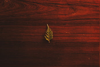 A single leaf on a textured wooden surface with a warm, rustic feel. HD wallpaper