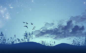 landscape-background--006 HD wallpaper