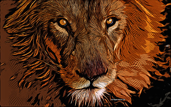 lion, wild cats, , vector art, lion drawing, lion eyes, creative art, lion art, vector drawing, abstract animals, lion drawings HD wallpaper