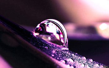 Drops, Macro, Dew, Petal HD wallpaper
